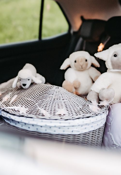 Hand mit Sonnenuntergang